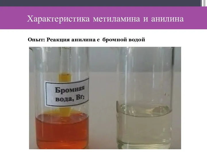 Характеристика метиламина и анилина Опыт: Реакция анилина с бромной водой