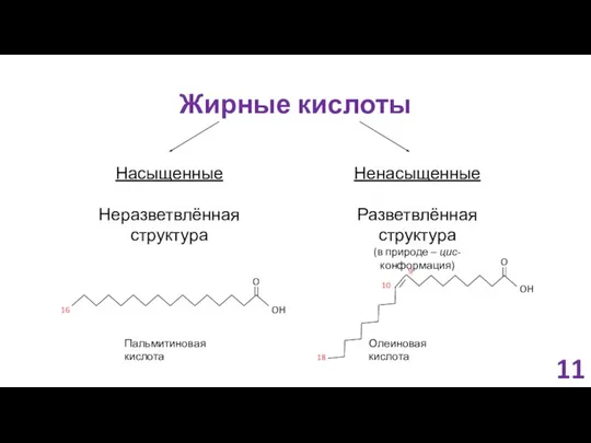 Жирные кислоты Насыщенные Неразветвлённая структура Ненасыщенные Разветвлённая структура (в природе