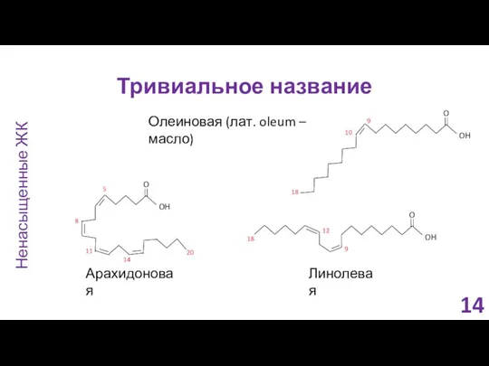 Тривиальное название Олеиновая (лат. oleum – масло) Арахидоновая Ненасыщенные ЖК Линолевая 14