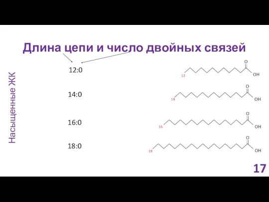 Длина цепи и число двойных связей 12:0 14:0 16:0 18:0 16 Насыщенные ЖК 17