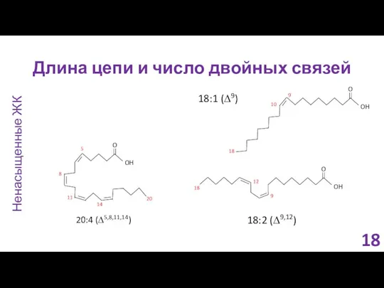 18:1 (∆9) 20:4 (∆5,8,11,14) 18:2 (∆9,12) Ненасыщенные ЖК Длина цепи и число двойных связей 18