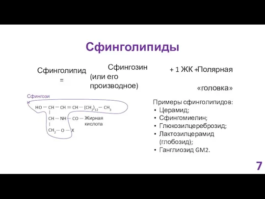 Сфинголипиды Сфинголипид = Сфингозин (или его производное) + 1 ЖК