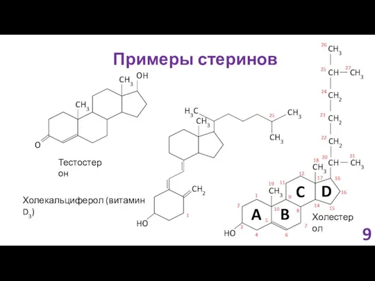 Примеры стеринов HO CH3 CH3 CH CH2 CH2 CH2 CH3