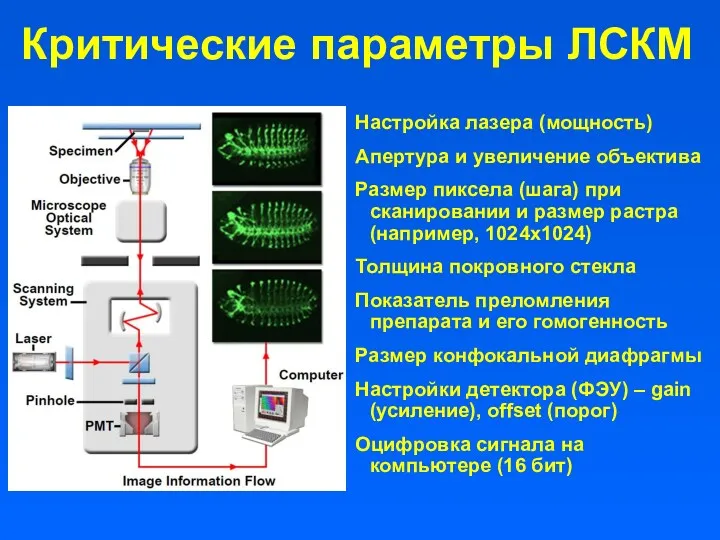 Критические параметры ЛСКМ Настройка лазера (мощность) Апертура и увеличение объектива