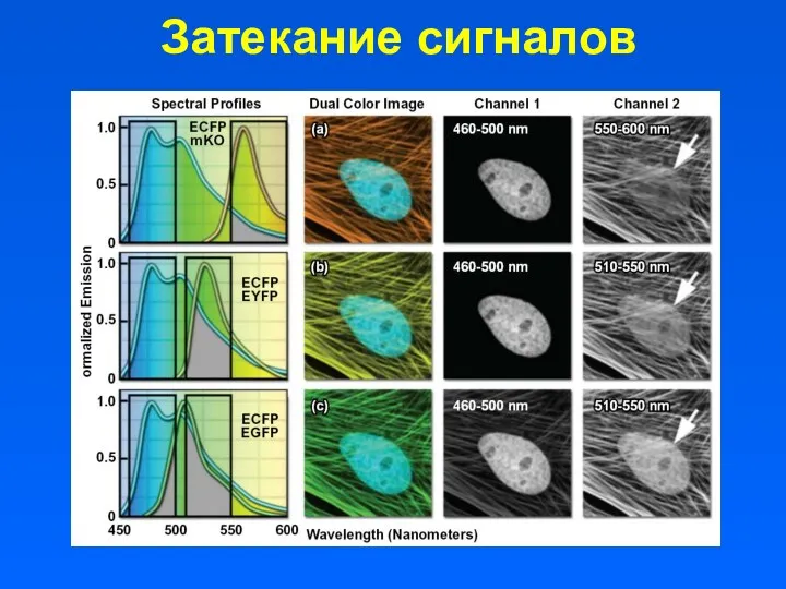 Затекание сигналов