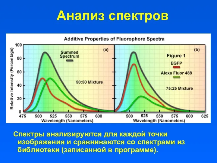 Анализ спектров Спектры анализируются для каждой точки изображения и сравниваются