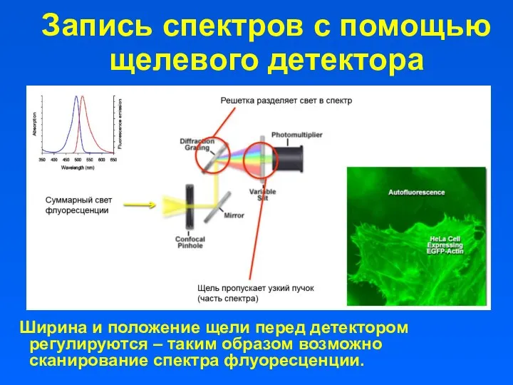 Запись спектров с помощью щелевого детектора Ширина и положение щели