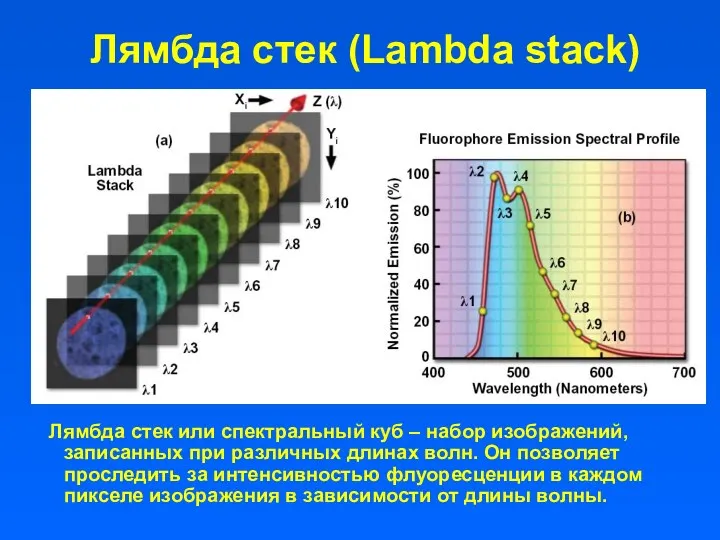 Лямбда стек (Lambda stack) Лямбда стек или спектральный куб –