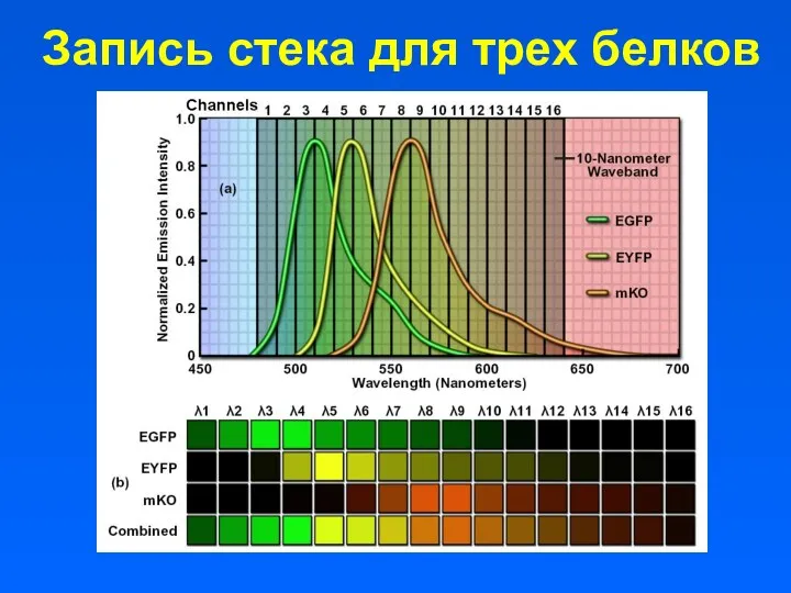 Запись стека для трех белков