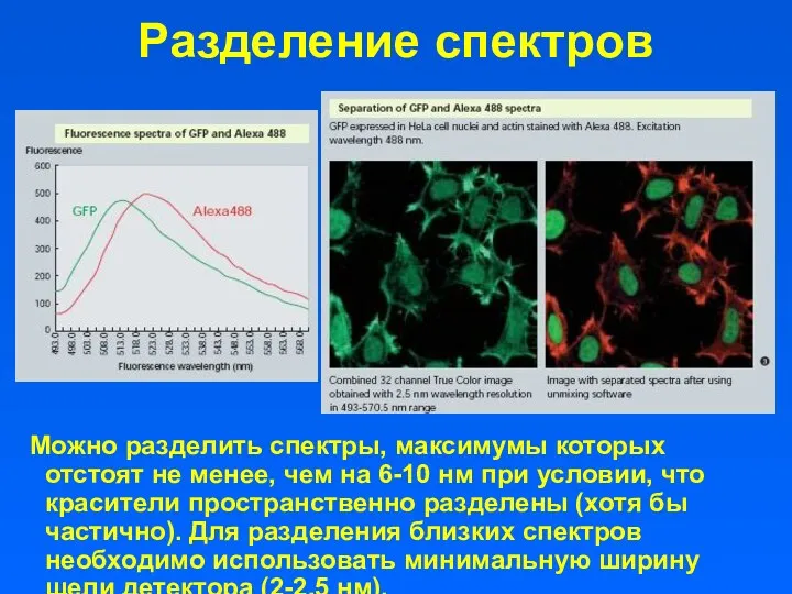 Разделение спектров Можно разделить спектры, максимумы которых отстоят не менее,