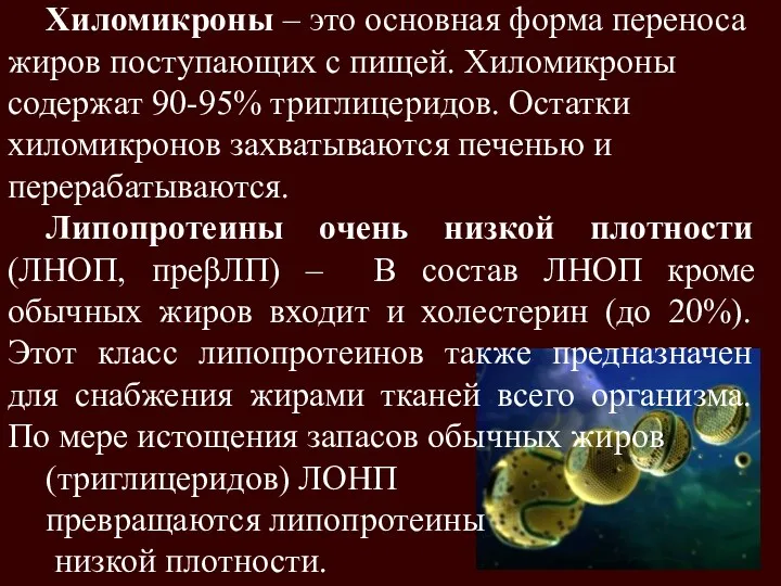 Хиломикроны – это основная форма переноса жиров поступающих с пищей.