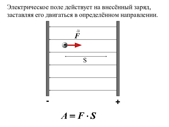 Электрическое поле действует на внесённый заряд, заставляя его двигаться в определённом направлении. S