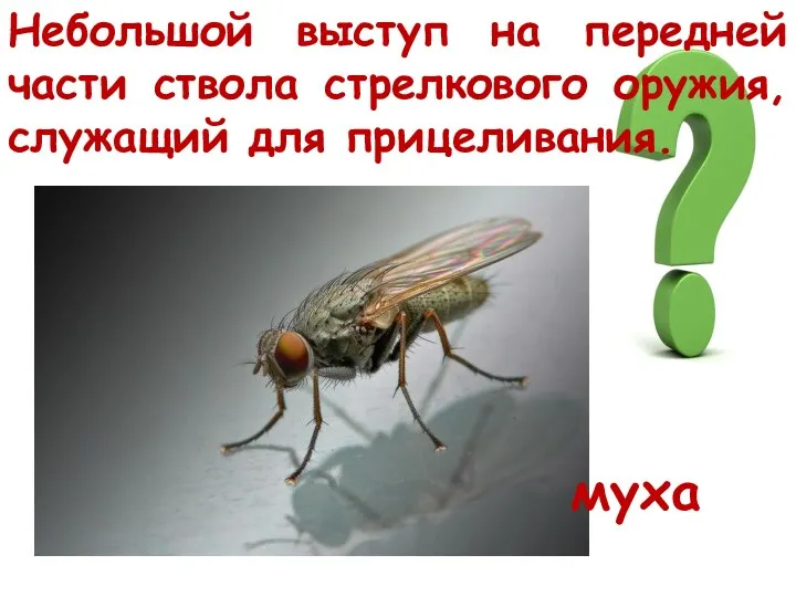 Небольшой выступ на передней части ствола стрелкового оружия, служащий для прицеливания. муха