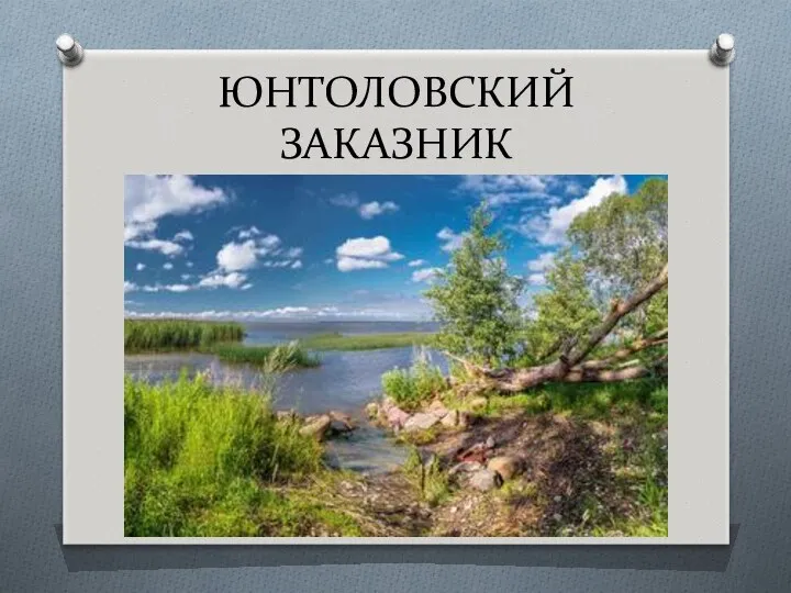 ЮНТОЛОВСКИЙ ЗАКАЗНИК