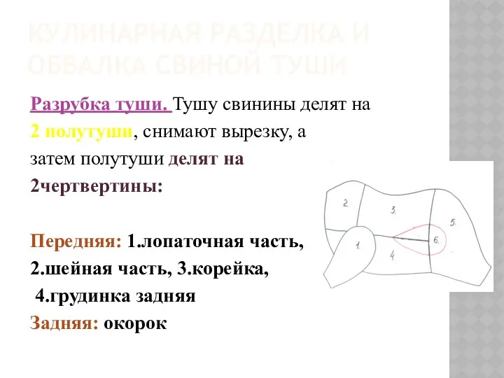 КУЛИНАРНАЯ РАЗДЕЛКА И ОБВАЛКА СВИНОЙ ТУШИ Разрубка туши. Тушу свинины