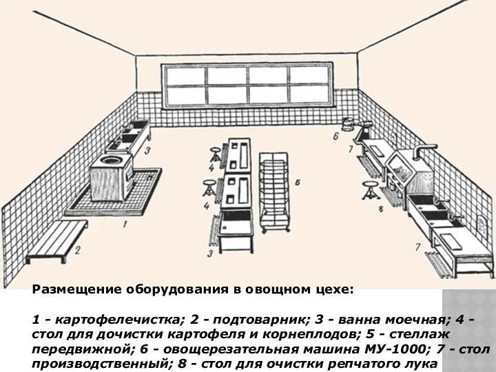 Размещение оборудования в овощном цехе: 1 - картофелечистка; 2 -