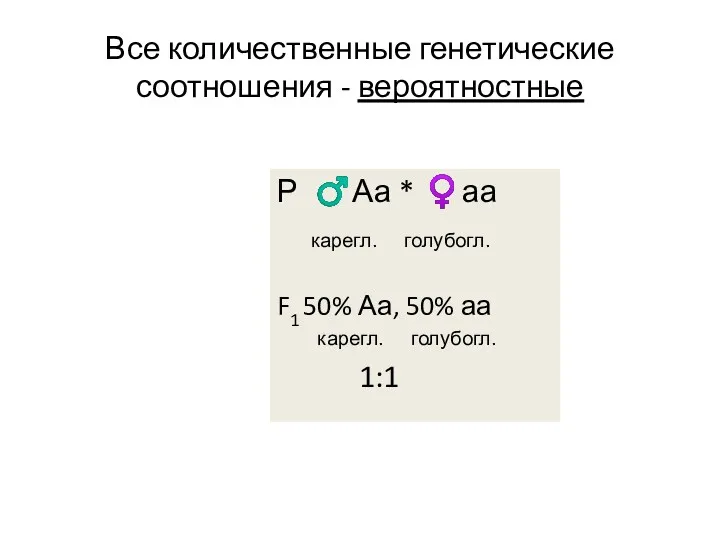 Все количественные генетические соотношения - вероятностные Р ♂Аа * ♀аа