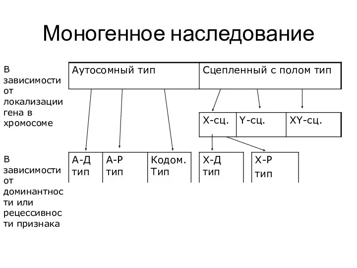 Моногенное наследование