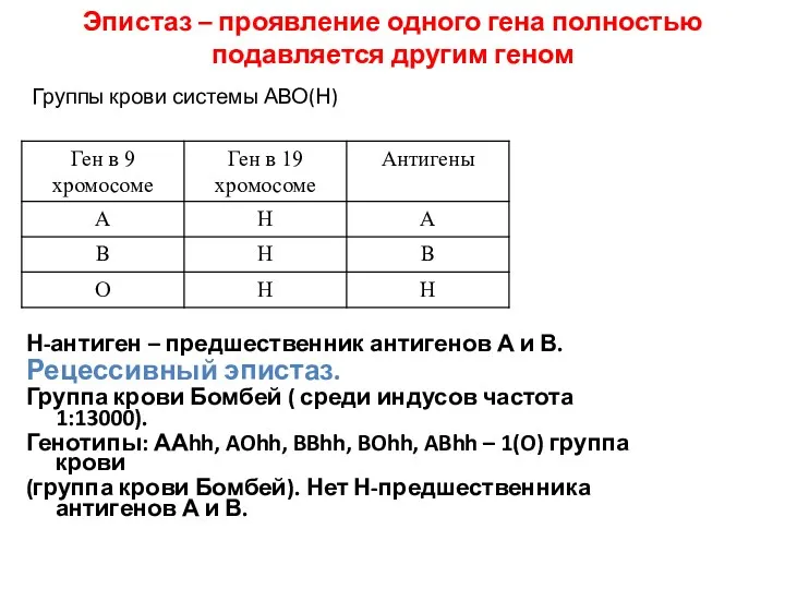 Эпистаз – проявление одного гена полностью подавляется другим геном Н-антиген – предшественник антигенов