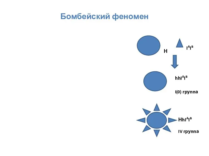 Бомбейский феномен hhIAIB I(0) группа НhIAIB IV группа IAIB Н