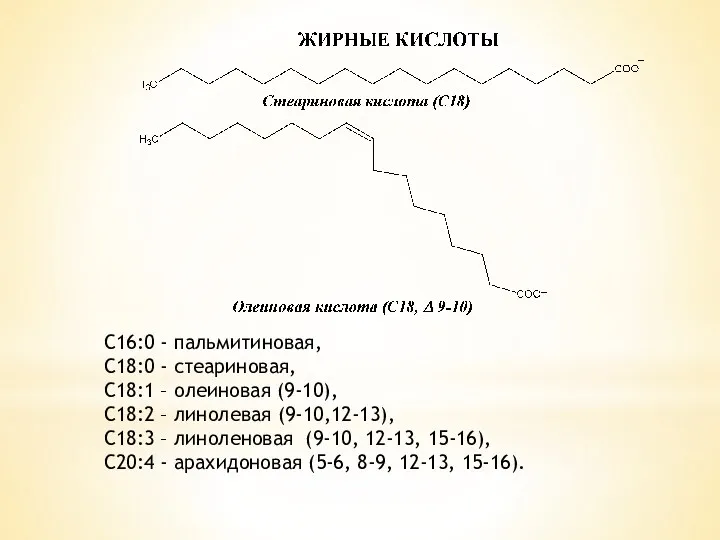 С16:0 - пальмитиновая, С18:0 - стеариновая, С18:1 – олеиновая (9-10),