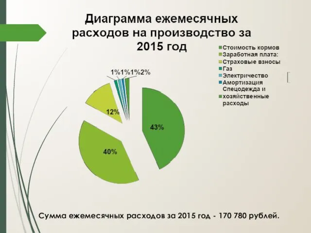 Сумма ежемесячных расходов за 2015 год - 170 780 рублей.