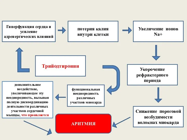 Трийодтиронин потерия калия внутри клетки Увеличение ионов Nа+ Укорочение рефрактерного