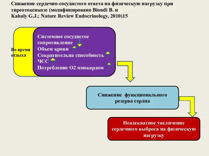 ВО СЧСЧСМ Системное сосудистое сопротивление Объем крови Сократительна способность ЧСС