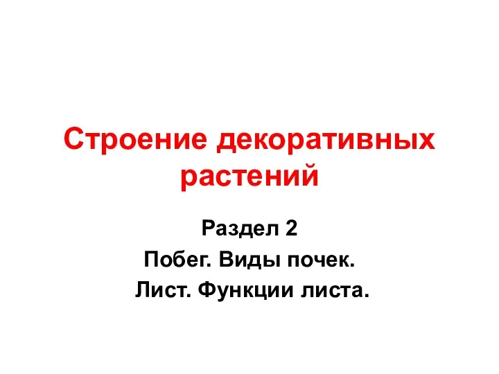 Строение декоративных растений Раздел 2 Побег. Виды почек. Лист. Функции листа.