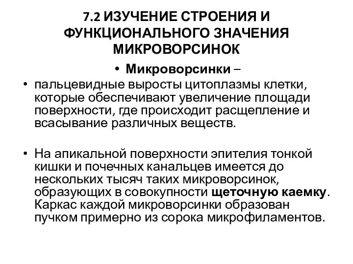 7.2 ИЗУЧЕНИЕ СТРОЕНИЯ И ФУНКЦИОНАЛЬНОГО ЗНАЧЕНИЯ МИКРОВОРСИНОК Микроворсинки – пальцевидные