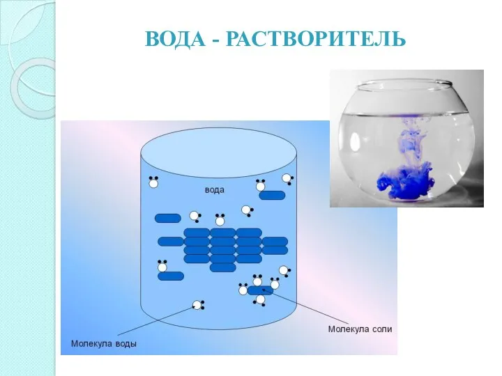 ВОДА - РАСТВОРИТЕЛЬ