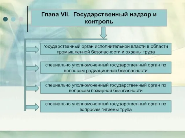 Глава VII. Государственный надзор и контроль государственный орган исполнительной власти