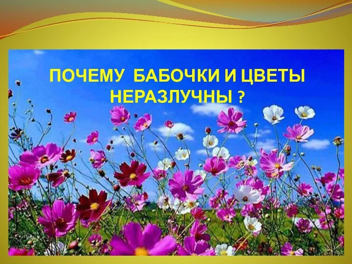 ПОЧЕМУ БАБОЧКИ И ЦВЕТЫ НЕРАЗЛУЧНЫ ?