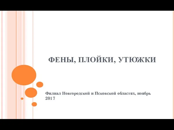 ФЕНЫ, ПЛОЙКИ, УТЮЖКИ Филиал Новгородской и Псковской областях, ноябрь 2017