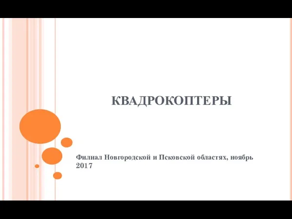 КВАДРОКОПТЕРЫ Филиал Новгородской и Псковской областях, ноябрь 2017