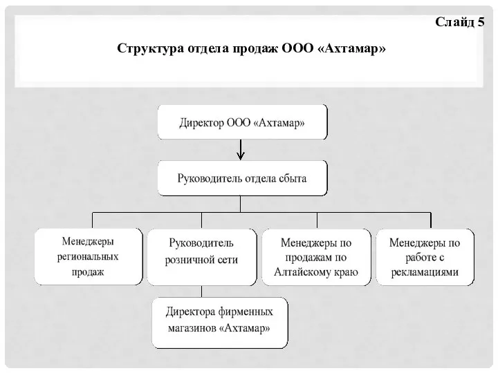 Структура отдела продаж ООО «Ахтамар» Слайд 5