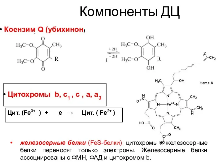 Цитохромы b, c1 , c , a, a3 Цит. (Fe3+