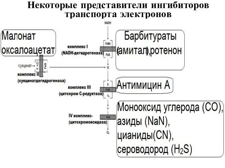 Некоторые представители ингибиторов транспорта электронов