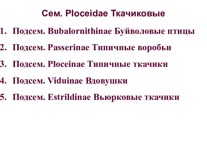 Сем. Ploceidae Ткачиковые Подсем. Bubalornithinae Буйволовые птицы Подсем. Passerinae Типичные