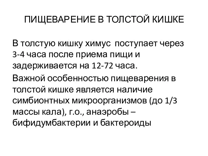 ПИЩЕВАРЕНИЕ В ТОЛСТОЙ КИШКЕ В толстую кишку химус поступает через