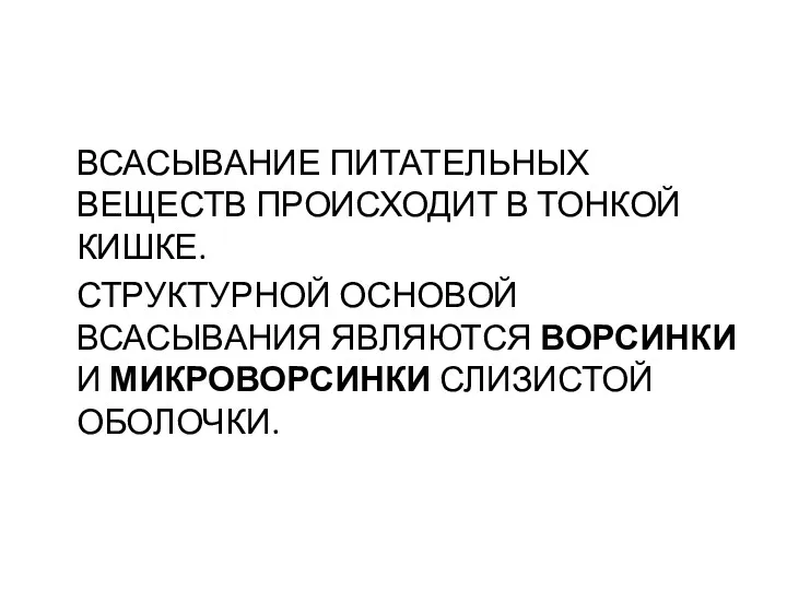 ВСАСЫВАНИЕ ПИТАТЕЛЬНЫХ ВЕЩЕСТВ ПРОИСХОДИТ В ТОНКОЙ КИШКЕ. СТРУКТУРНОЙ ОСНОВОЙ ВСАСЫВАНИЯ ЯВЛЯЮТСЯ ВОРСИНКИ И МИКРОВОРСИНКИ СЛИЗИСТОЙ ОБОЛОЧКИ.