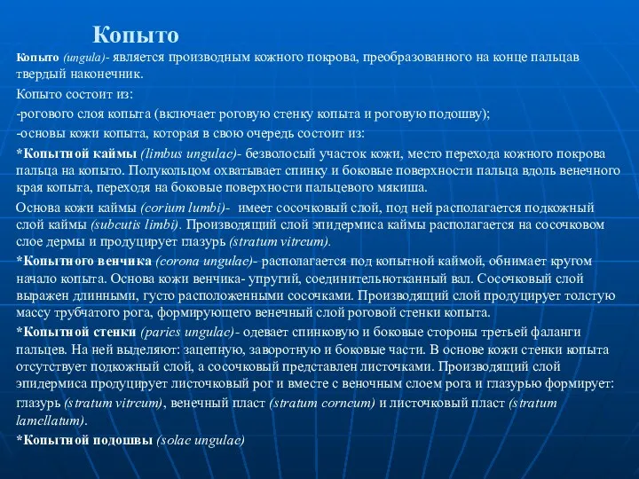 Копыто Копыто (ungula)- является производным кожного покрова, преобразованного на конце пальцав твердый наконечник.