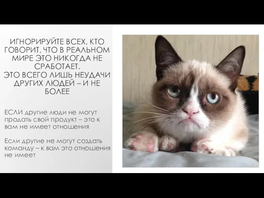 ИГНОРИРУЙТЕ ВСЕХ, КТО ГОВОРИТ, ЧТО В РЕАЛЬНОМ МИРЕ ЭТО НИКОГДА НЕ СРАБОТАЕТ. ЭТО