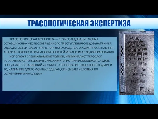 ТРАСОЛОГИЧЕСКАЯ ЭКСПЕРТИЗА ТРАСОЛОГИЧЕСКАЯ ЭКСПЕРТИЗА — ЭТО ИССЛЕДОВАНИЕ ЛЮБЫХ ОСТАВШИХСЯ НА