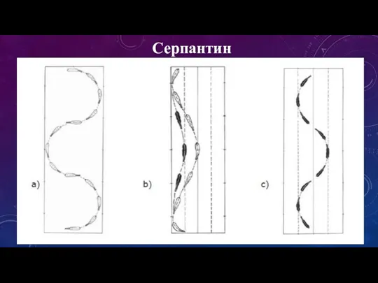 Серпантин