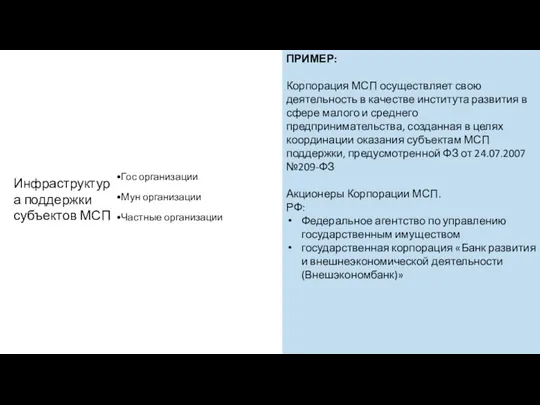 Гос организации Мун организации Частные организации Инфраструктура поддержки субъектов МСП