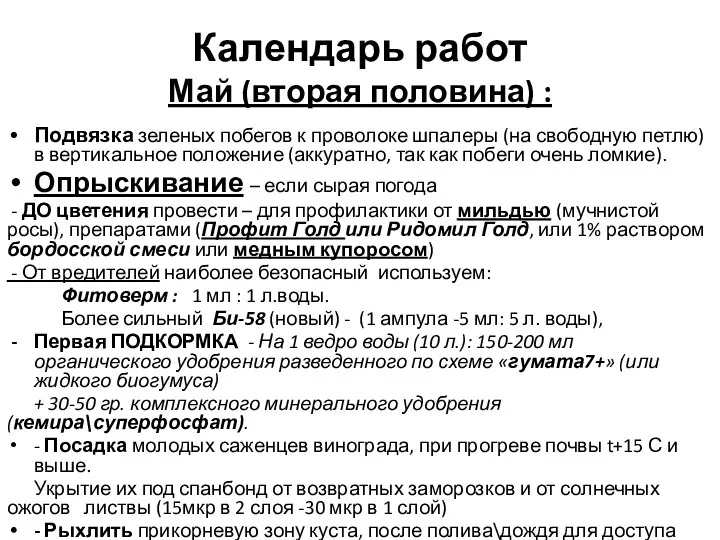 Календарь работ Май (вторая половина) : Подвязка зеленых побегов к