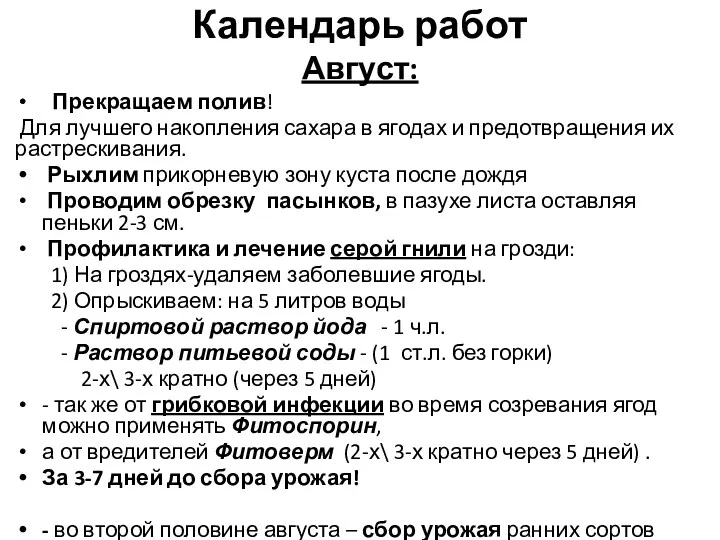 Календарь работ Август: Прекращаем полив! Для лучшего накопления сахара в