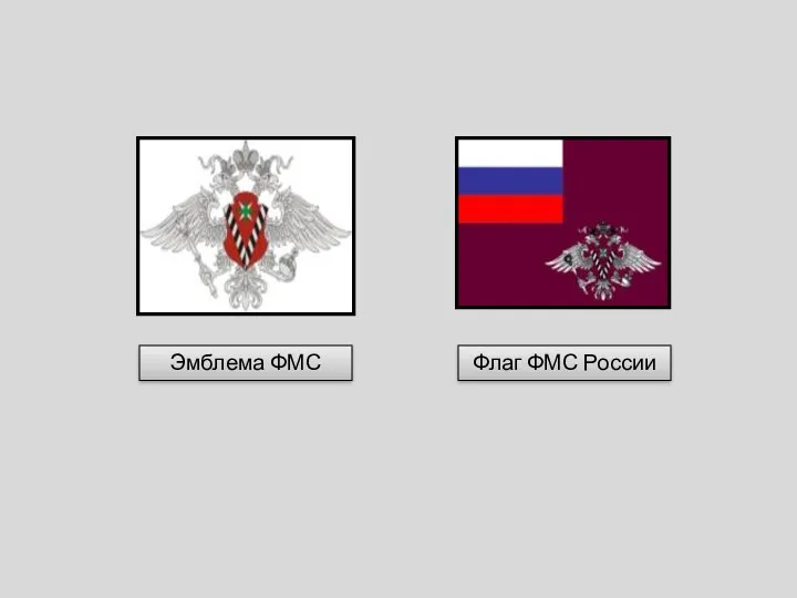 Эмблема ФМС Флаг ФМС России