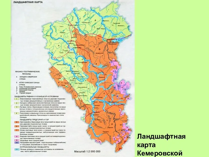 Ландшафтная карта Кемеровской области